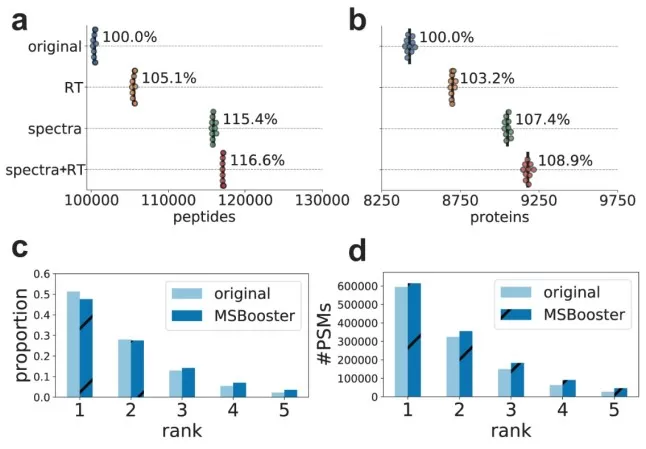 MSBooster deep learning algorithm improved peptide identification rates
